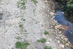 
Tramroad sleepers near causeway, August 2016