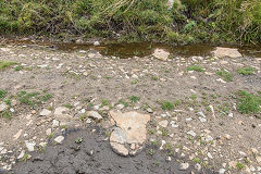 
The Stone Road trackbed, September 2016