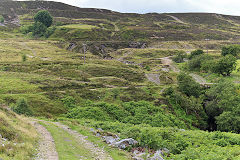 
Looking back across the stream, July 2020