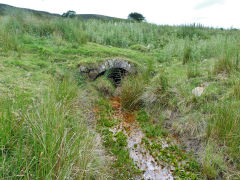 
Blaen Dyar colliery level, July 2012