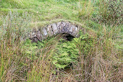 
Blaen Dyar colliery level, September 2016