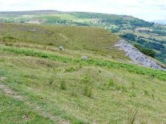 
Blaen Dyar colliery tips to the North, July 2012