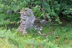 
Blaen Dyar Farm below the causeway, July 2020