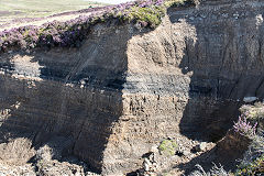 
Erosion at Blaen Pig and coal seam, August 2016