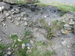 
A collapsing culvert near the cottage on Blaenavon Stone Road, July 2012