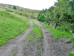 
Blaenavon Stone Road looking West, July 2012