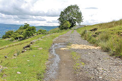 
Blaenavon Stone Road looking East, Waunllapria, July 2012