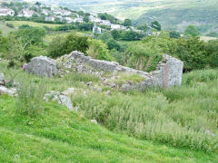 
The ruined cottage near Blaen Dyar, July 2012