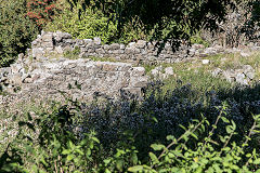 
The ruined cottage near Blaen Dyar, August 2016