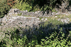 
The ruined cottage near Blaen Dyar, August 2016