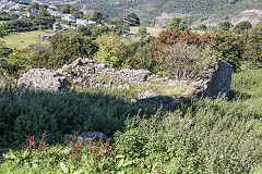 
The ruined cottage near Blaen Dyar, August 2016