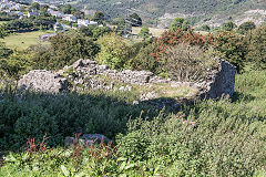 
The ruined cottage near Blaen Dyar, August 2016