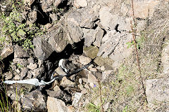 
The Stone Road culvert at SO 2295 1205, August 2016