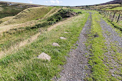 
Tramroad sleepers near the colliery, August 2016