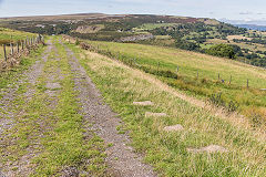 
Tramroad sleepers near the colliery, August 2016