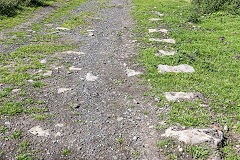 
Tramroad sleepers near the colliery, August 2016