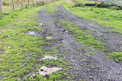 
The Stone Road trackbed, September 2016