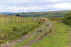 
The Stone Road trackbed, July 2020