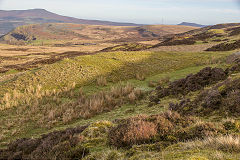 
Tips above Waun Wen Farm, Blaen Dyar, January 2014