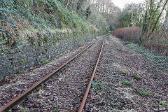 Brecon and Merthyr Railway through Bassaleg, January 2016