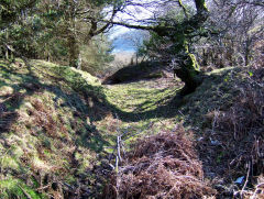 
Pant-yr-eos reservoir tramway incline top, February 2009