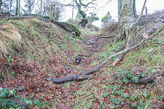 
The top of the Pant-yr-eos tramway looking up, December 2016