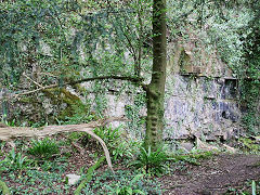 
Lancaut limekilns quarry, June 2021