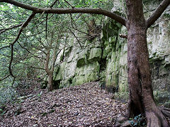 
Lancaut quarry, June 2021