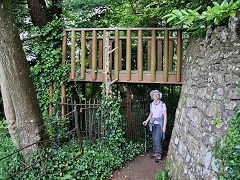 
Lancaut woods footbridge, June 2021