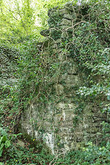 
Limekiln Wood limekiln, August 2017