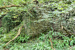 
Limekiln Wood limekiln, August 2017