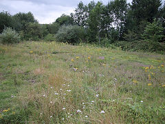 
Monmouth Troy Station goods yard, July 2021