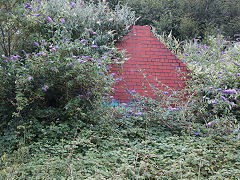 
Possibly a platelayers hut at Monmouth Troy Station, July 2021