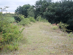 
Wye Valley Railway viaduct, July 2021