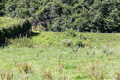 
Site of limekiln near Reddings Farm at ST 5313 9910, August 2017