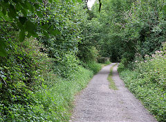 
Redbrook GWR trackbed below Redbrook bridge, July 2022