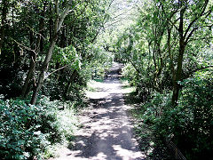 
The Wye Valley Railway before Tidenham tunnel, July 2021