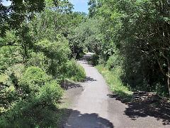 
The Wye Valley Railway before Tidenham tunnel, July 2021