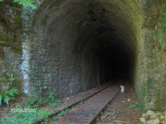 
The Tintern portal of the Tidenham tunnel , August 2005