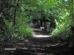 
Wireworks branch trackbed to the junction with the Wye Valley Railway, August 2005