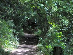 
Wireworks branch trackbed to the junction with the Wye Valley Railway, August 2005