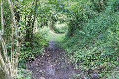 
The course of the leat to the upper pond, Tintern Ironworks and blast furnace, August 2017