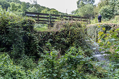 
The lower pond, Tintern Ironworks and blast furnace, August 2017