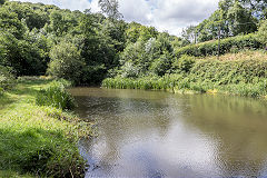 
The lower pond, Tintern Ironworks and blast furnace, August 2017