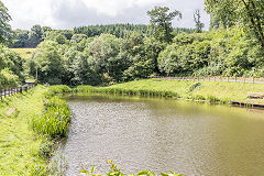 
The upper pond and dam, Tintern Ironworks and blast furnace, August 2017