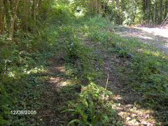 
Tintern Quarry, August 2005