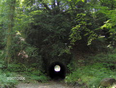 
Tintern Quarry, July 2006