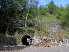 
Tintern Quarry, July 2006