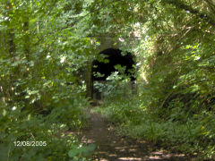 
Tintern tunnel, August 2005