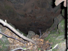 
Leadmine airshaft, Wyndcliff, Tintern, July 2006